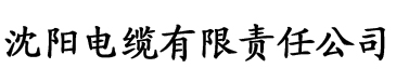 大菠萝网址入口电缆厂logo